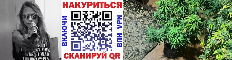 Шишки марихуана OG Kush  Андреаполь 